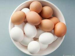Яйцо куриное Свк и Двк С1 и Д1, С0 и Д0, С2 и Д2