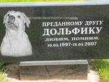Захоронение домашних животных в Витебске