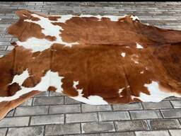 Закупаем шкуры КРС