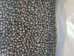 Замороженная черная смородина (frozen black currant)