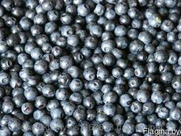 Замороженная черника