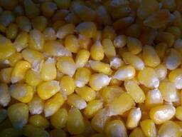 Замороженное зерно кукурузы цельное, десертное пр-ва Индия