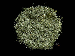 Мята перечная