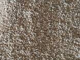Зерно Фуражное(пшеница озимая)в мешках - фото 2