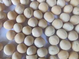 Желтый и зеленый горох