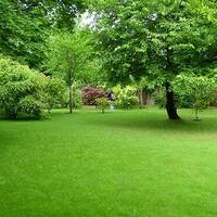 Александрович Эдуард