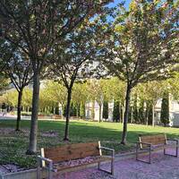 Шкапцова Татьяна Валерьевна