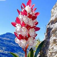 Кадровое агентство Онисим