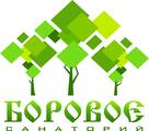 Санаторий Боровое, Учреждение