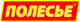 ПП Полесье, СООО